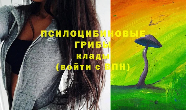 молекула духа Яровое