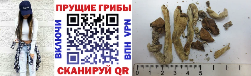 Галлюциногенные грибы мухоморы  Купить закладки  Рошаль 