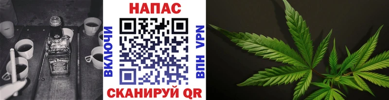 Купить закладки  Рошаль  Каннабис White Widow 